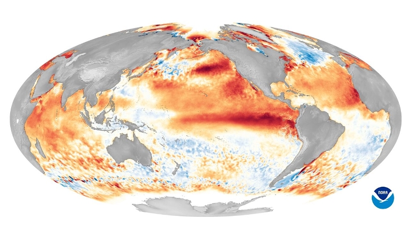 El Nino 2023 Berakhir Mei-Juni 2024